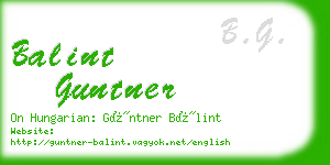 balint guntner business card